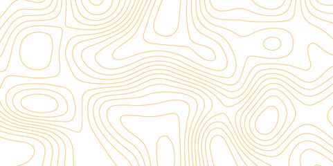 Abstract wave paper curved reliefs background .gradient multicolor wave curve lines banner background design .topographic contours map background .Vector geographic contour map.	