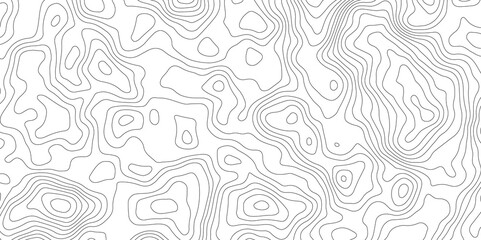 White topography topology vector white background fresh contour map texture backdrop digital print texture terrain lines and strokes on a fresh white 