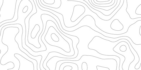White topography topology vector white background fresh contour map texture backdrop digital print texture terrain lines and strokes on a fresh white 