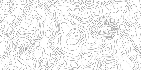 White topography topology vector white background fresh contour map texture backdrop digital print texture terrain lines and strokes on a fresh white 