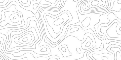White topography topology vector white background fresh contour map texture backdrop digital print texture terrain lines and strokes on a fresh white 