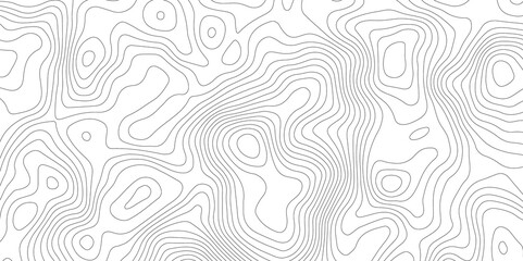 White topography topology vector white background fresh contour map texture backdrop digital print texture terrain lines and strokes on a fresh white 