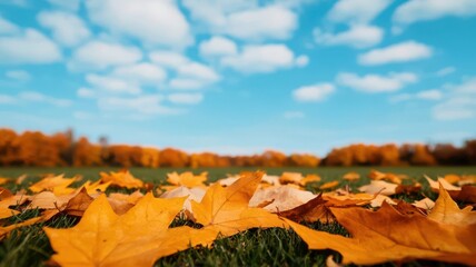 Vibrant autumn leaves blanket the ground, showcasing rich colors against a bright blue sky with fluffy clouds.