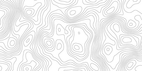 White topography topology vector white background fresh contour map texture backdrop digital print texture terrain lines and strokes on a fresh white 