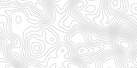 White topography topology vector white background fresh contour map texture backdrop digital print texture terrain lines and strokes on a fresh white 