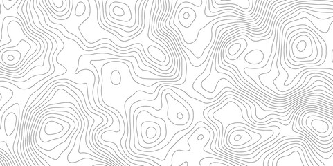 White topography topology vector white background fresh contour map texture backdrop digital print texture terrain lines and strokes on a fresh white 