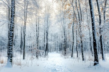 Winter background. Landscapes. Frozen winter forest with snow covered trees. outdoor with generative ai