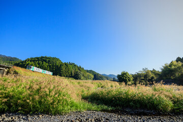 朝日に輝きながら牟岐川の河原を走り抜ける牟岐線の気動車