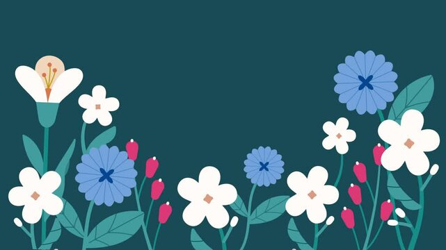 Minimal flower botanical vector illustration video