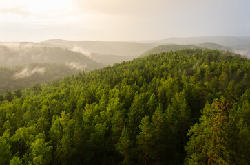 Fototapeta premium Forest on the Mountain light fall on clearing mists at sunset sky background. Hight quality photo of nature