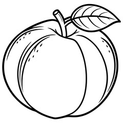 Peach line art vector 