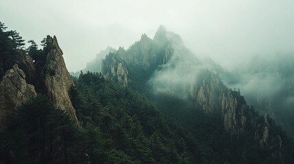 Aerial Panorama of Yellow Mountains: Iconic Pine Trees, Mist-Cloaked Peaks, Ethereal Seclusion, Ideal for Nature Enthusiasts