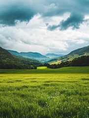 A large, open field with a cloudy sky in the background