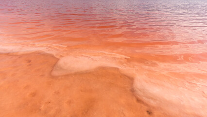 The pink color of the Aigues-Mortes salt marshes