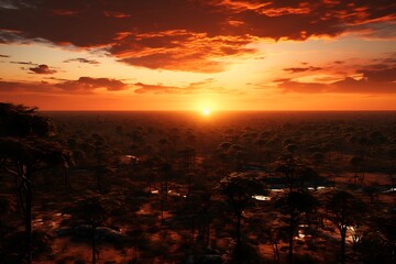 Fototapeta premium Aerial view of beautiful sunset forest