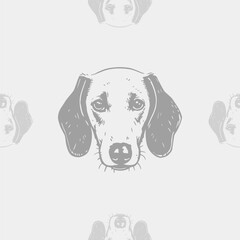 Seamless vector pattern with cute draw fluffy dogs. Simple doodle style. Grid