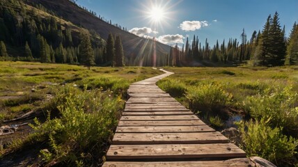 Wilderness trail on a bright sunny day 