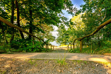 Naklejka premium Der Weg zum See!