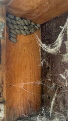 A cluster of mud dauber nests in a cobwebbed corner signifies neglect and the need for spring...