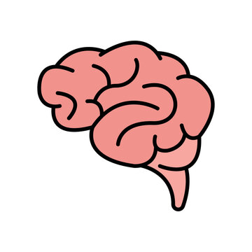 recommend clip art: brain sign symbol vector glyph color icon