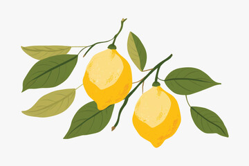 rawpixel_office_27_simplified_vector_of_a_lemon_aesthetic_illus_808d04e1-0317-46fb-8e36-df4246d54892-p