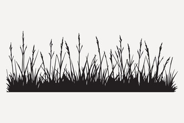 Silhouette grass vector illustration