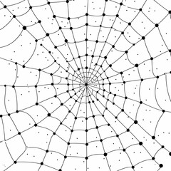 Obraz premium A black and white illustration of a spiderweb with black dots at each intersection.