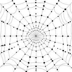 Obraz premium A black and white illustration of a spider web with black dots at the intersections.