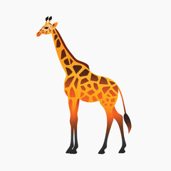 Fototapeta premium Stylized giraffe vector illustration