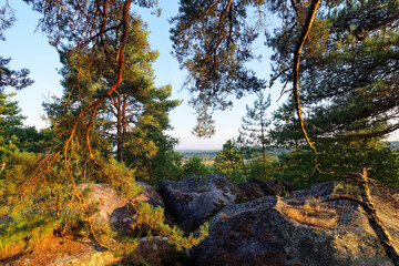 Fototapety na wymiar - Fototapeta24.pl