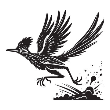 recommend clip art: Greater Roadrunner Silhouette - Greater Roadrunner
                    Bird Vector Illustration Black and White