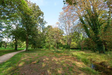 La Touche aux Mulets heathers land in Fontainebleau forest