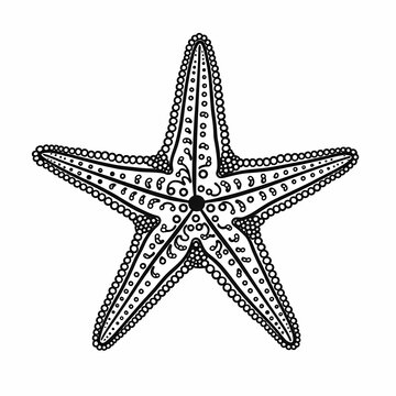 recommend clip art: A black and white illustration of a starfish with a detailed pattern.