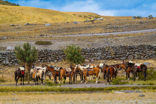 Riserva parco del vulcano Cotopaxi