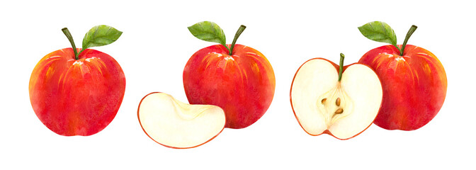 Cut two slice serving fresh ripe red apple watercolor illustration