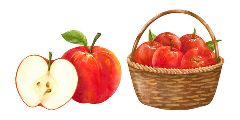 Basket with Apples watercolor texture illustration set