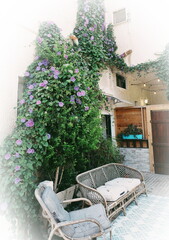 Cozy Garden Patio Wicker Furniture Blooming Flowers Daylight