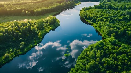 Aerial View of a Serene River Flowing Through Lush Green Forest