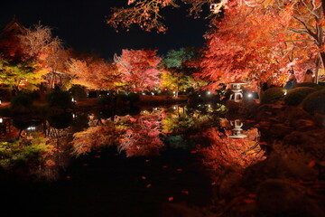 日本 京都 紅葉