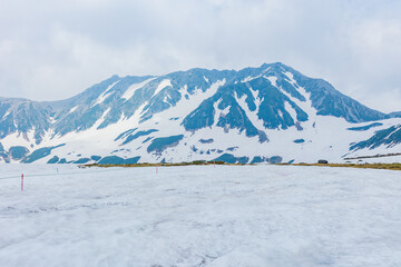 Fototapeta premium 日本の風景・初夏 立山黒部アルペンルート 残雪の室堂平