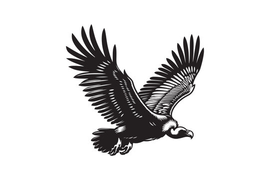 recommend clip art: Vulture silhouette vector illustration, Vulture silhouette vector Vulture silhouette line art