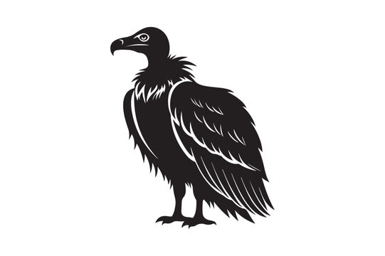 recommend clip art: Vulture silhouette vector illustration, Vulture silhouette vector Vulture silhouette line art