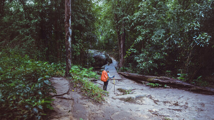 Obraz premium Freedom woman traveler nature. Travel relax. Backpack walk in the forest. Travel backpack. adventure