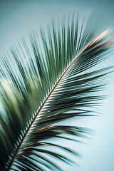 Obraz premium Palm leaf blured green blue background. Poster. Floral card