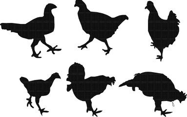 Vector sketch illustration of chicken animal silhouette design drawing looking for food
