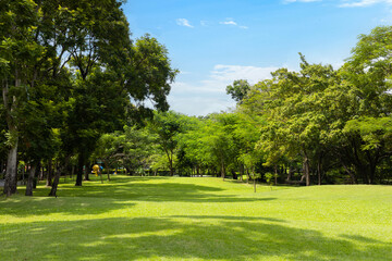 Scenic view of the park with green grass field in city and a cloudy blue sky background. Beautiful green park