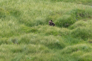 US national park Colorado Rocky Mountai Gran Teton Yellowstone