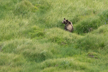 US national park Colorado Rocky Mountai Gran Teton Yellowstone