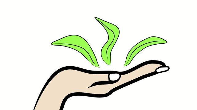 Hand holding sprouts. Plants, ecology, leaves. Cartoon video animation. Background  video 4k looped new