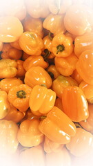 A bunch of juicy bell peppers on the market counter. Harvest season. White Vignette